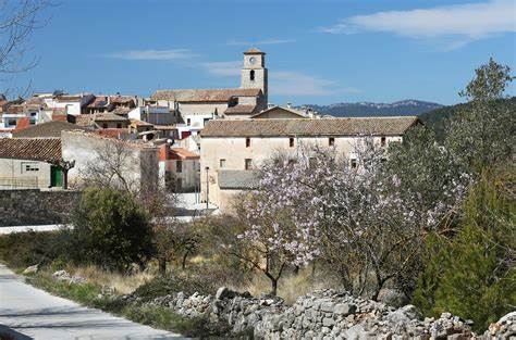 Alcalali