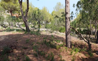 Finca-Grundstück in sonniger und ruhiger Lage in Dénia