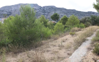 12 Grundstücke in Zona Galeretes, Denia