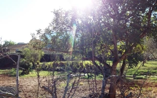 Chalet Dénia La Plana de Elies