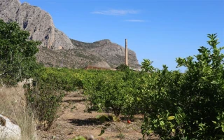 Grosse Finca in Ondara