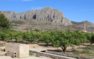 Grosse Finca in Ondara
