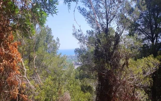 Zwei sonnige Grundstücke zu verkaufen in Oliva Urb. Tossal Gross