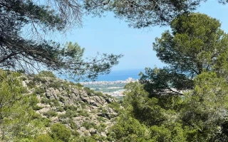 Zwei sonnige Grundstücke zu verkaufen in Oliva Urb. Tossal Gross