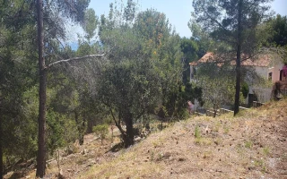 Zwei sonnige Grundstücke zu verkaufen in Oliva Urb. Tossal Gross