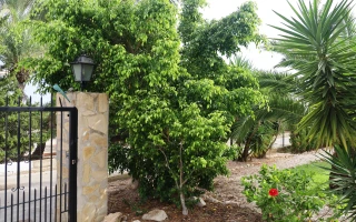 Finca in Dénia – La Pedrera mit traumhafter Parkanlage