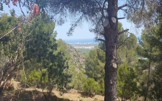 Sonniges Grundstück mit Meerblick in Oliva – Urb. Tossal Gross