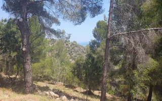 Sonniges Grundstück mit Meerblick in Oliva – Urb. Tossal Gross