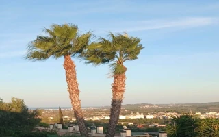 Stilvolles Reihenendhaus in Monte Gata