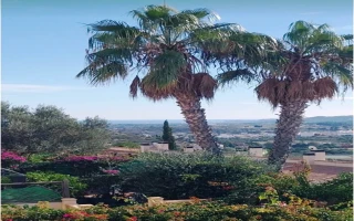 Stilvolles Reihenendhaus in Monte Gata